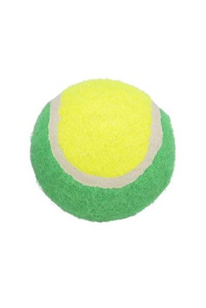 Trixie Tennis Ball Dog Toy - LT GREEN&PURPLE/10CM