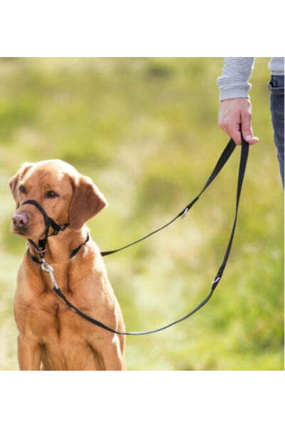 Trixie طوق رأس أسود للكلاب من توب ترينر، مقاس كبير إلى كبير جدًا (37 سم).