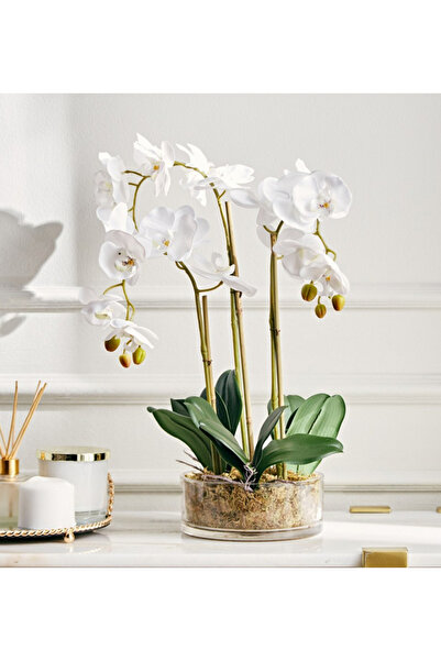 Generic Luna Artificial Orchid with Pot - 58 cm