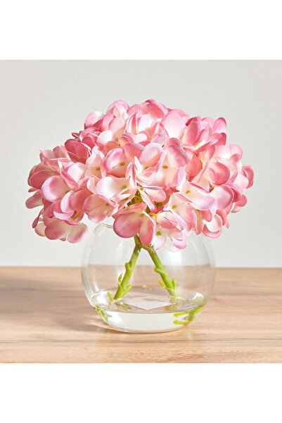 Generic Ortensia Hydrangea Flower in Pot - 16 cm