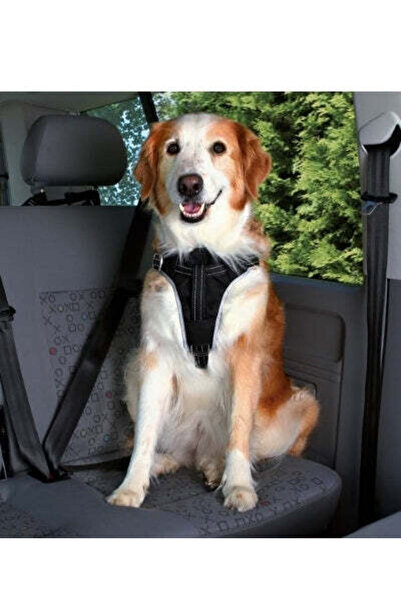 Trixie حزام أمان للكلاب وطوق للصدر 50-65 سم 20 ملم أسود M