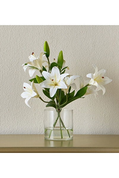 Generic Tiger Lily in Glass Vase - 15 cm