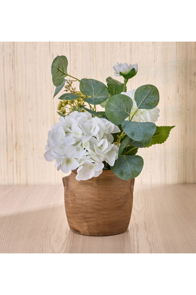 Terra Umber Hydrangia Eucalyptus Plant in Ceramic Pot - 33 cm