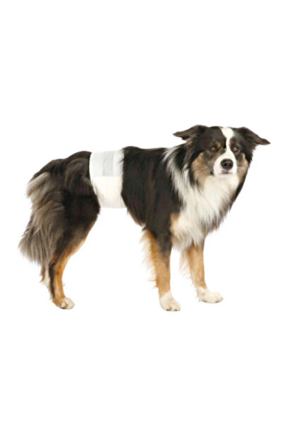 Trixie حفاضات للكلاب الذكور، 12 قطعة - مقاس صغير-متوسط