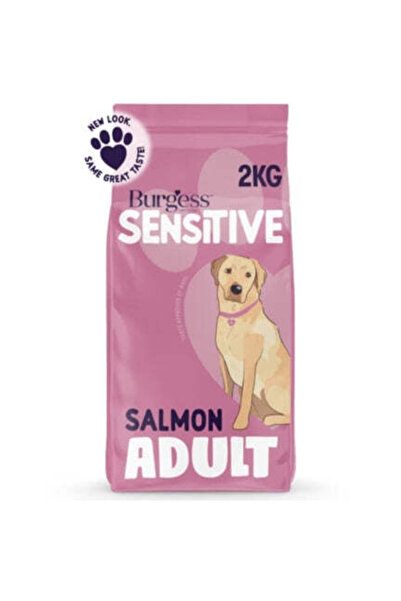 Burgess طعام جاف للكلاب البالغة الحساسة بنكهة السلمون - 2 كجم