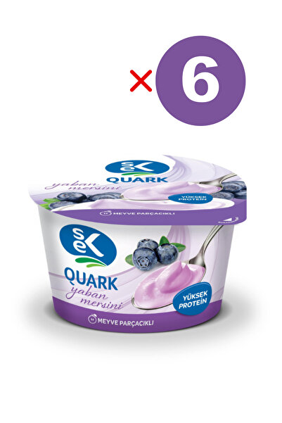 Sek Quark Yaban Mersinli 140 gr X 6 Adet