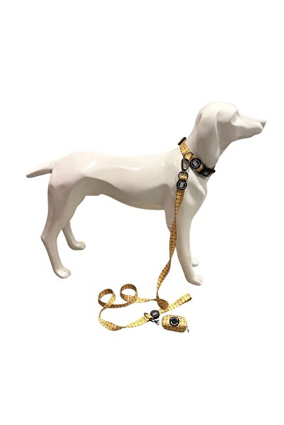 Bud & Billy Dunes Desert Leash - 1.5CM