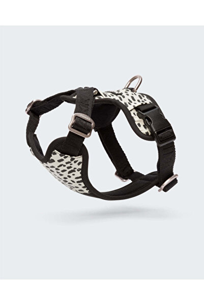 PAIKKA حزام 2.0 للكلاب - كبير