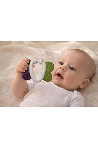 Bebelul Zornaitoare Bebe Fluture colorat cu texturi si maner central, 3 luni+