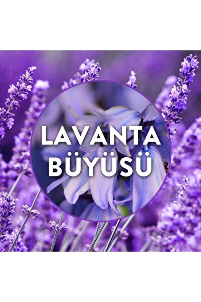 Air Wick Elektrikli Oda Kokusu Yedek Şişe Lavanta Bahçesi