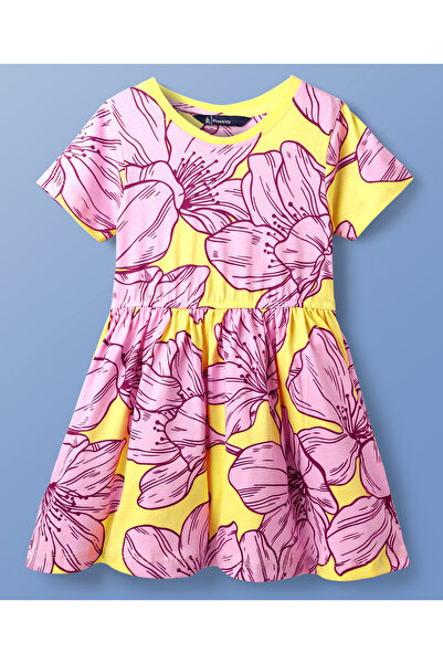 Pine kids Cotton Knit Half Sleeves One Piece Frock with Floral Print - Multic...