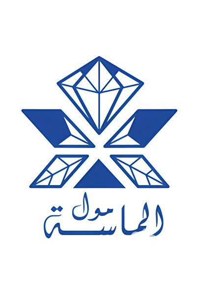 HOMY Homey Sandwich Maker