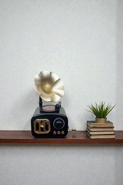 CaactuStore Dekoratif Gramofon Müzik Kutusu Çevirmeli Dekoratif Hediyelik