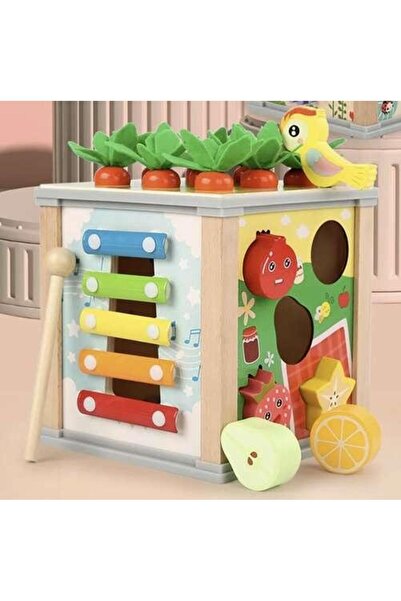 KRUZZEL 5 in 1 wooden educational cube, multiple activities