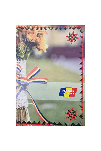 DanyCris Registru A4, 100 file cartonat, Dictando/Matematica DC