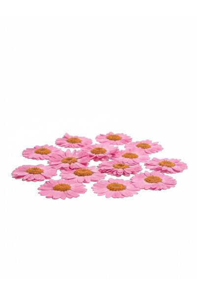 stonechem Preslenmiş Kurutulmuş Pembe Papatya Epoksi Reçine Kolye Takı Yapımı...