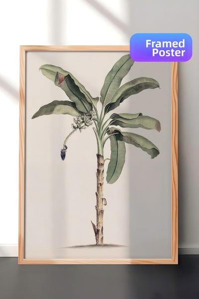 Postifull Pictură înrămată cu arbore de banane de epocă, cadru din lemn și po...