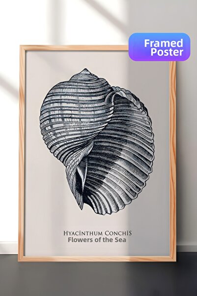 Postifull Ζωγραφική με κορνίζα μπλε κοχύλια, Ξύλινο πλαίσιο και αφίσα, Ζωγραφ...