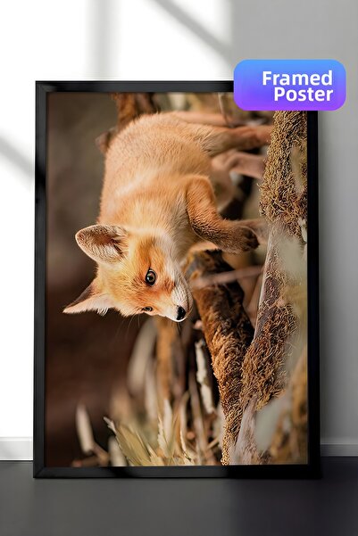 Postifull Pictură înrămată cu vulpea de pădure, cadru negru și poster, pictur...
