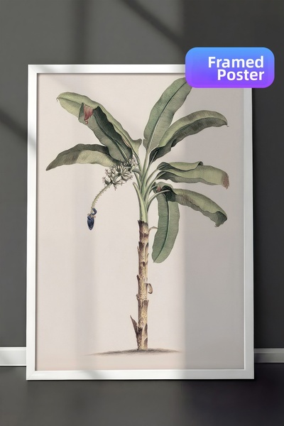 Postifull Pictură înrămată cu arbore de banană de epocă, cadru alb și poster,...