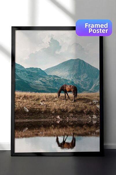 Postifull Pictură înrămată cu cal de la Highland, cadru negru și poster, pict...