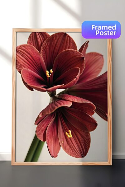 Postifull Картина с дървена рамка, коледна афиша, коледна украса, амарилис в ...