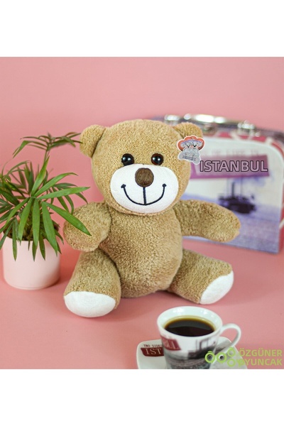 HARİKA PELUŞ FABRİKASI دب زهرة قطيفة رائع مقاس 25 سم