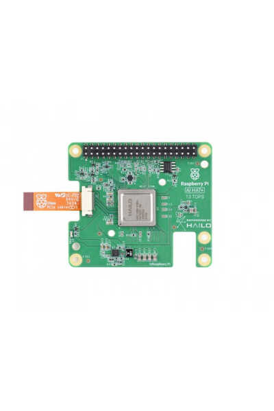 Raspberry Pi Aı Hat (13T)