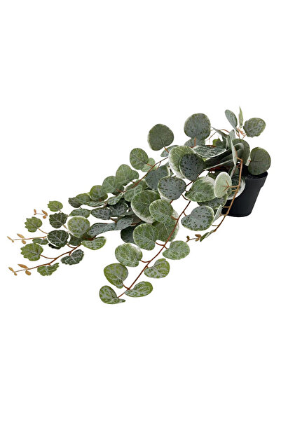 KOÇTAŞ Yapay Bitki Can