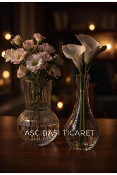 aşçıbaşı ticaret Padrag Ve Vıljestark Dekoratif Cam Vazo 2'li 17 Cm