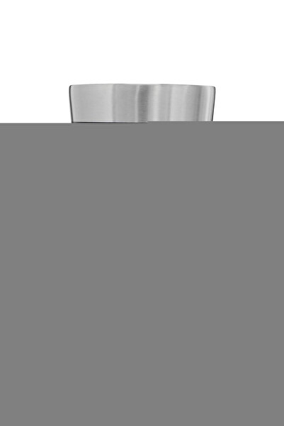 Stanley Paharul stivuibil .47L / 16oz