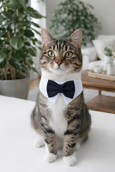 Minikpaw aksesuar Bow Tie Collar White