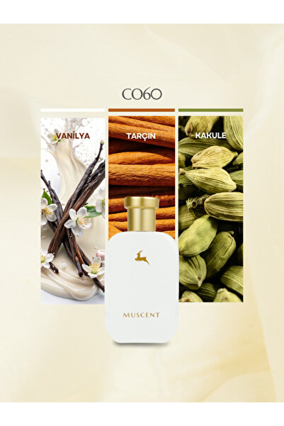 MUSCENT C060– 50 Ml