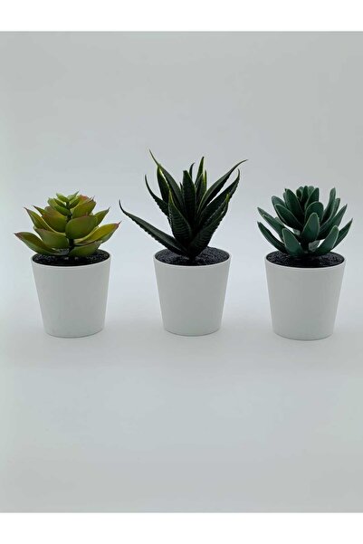 IKEA Fejka Kaktüs 3 Lü Set 6 Cm Yapay Bitki Çiçek Saksılı Kaktüs