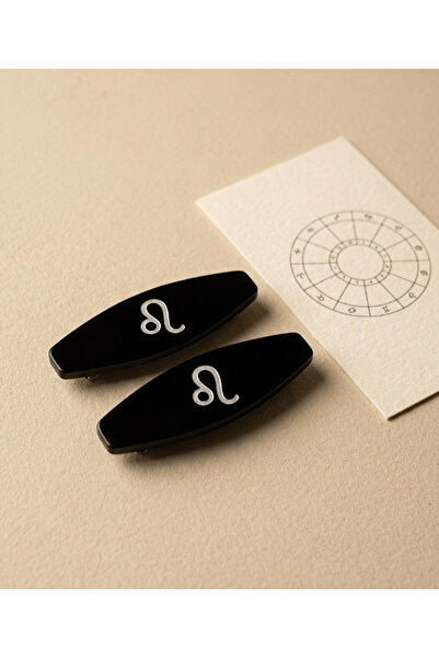 endiell since 2024 مشبك برمز الأبراج، طقم من مشبكين متوسطي الحجم