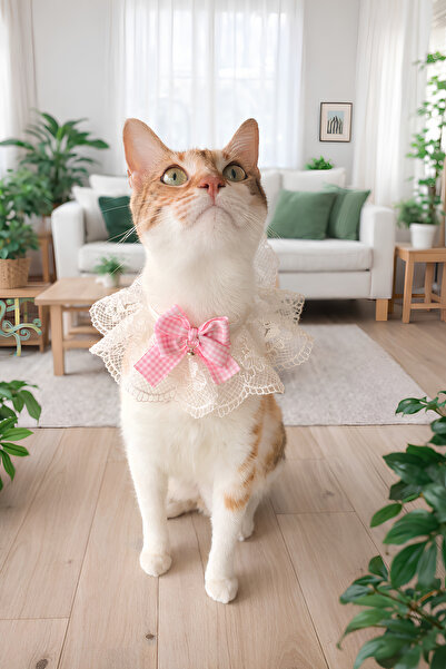 Minikpaw aksesuar Cat Collar