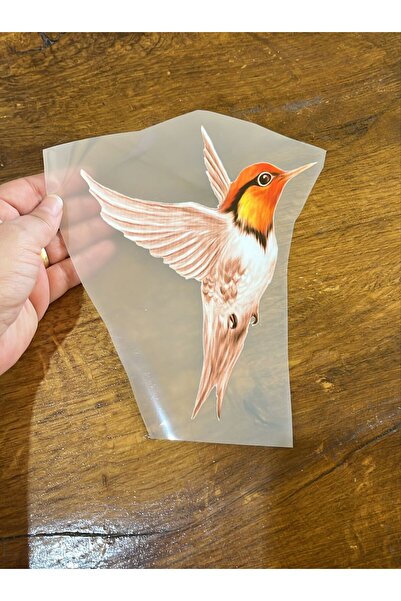 Gönülden Tasarım Imprimare cu transfer de păsări cu design care se lipsește c...