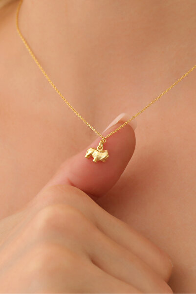 Nox Jewelry 925 Ayar Gümüş Minimal Aslan Figürlü Kolye