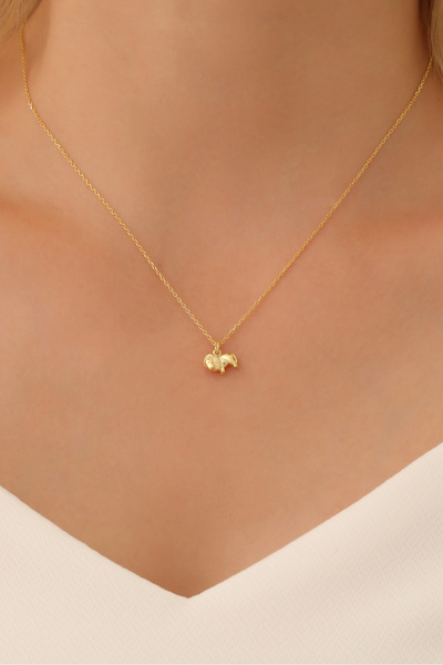 Nox Jewelry 925 Ayar Gümüş Minimal Aslan Figürlü Kolye