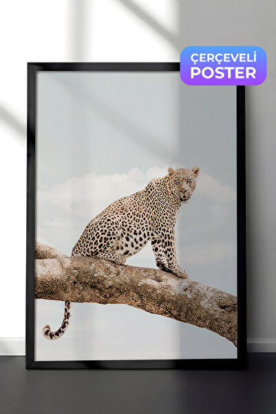 Postifull Slika uokvirena leopardom koji odmara, crni okvir i poster, serija ...