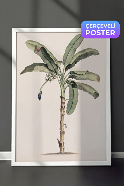 Postifull Vintage slika uokvirena banana stablom, beli okvir i poster, zidna ...