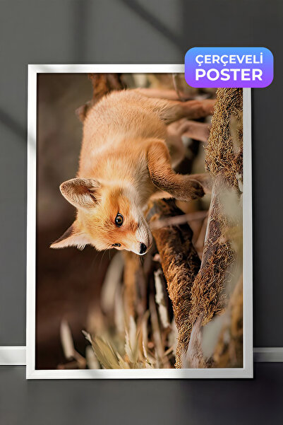 Postifull Slika u ramu sa šumskom lisicom, beli okvir i poster, horizontalna ...