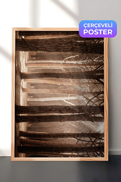 Postifull Čarobna šuma, slika uokvirena sunčevom svetlošću, horizontalna zidn...