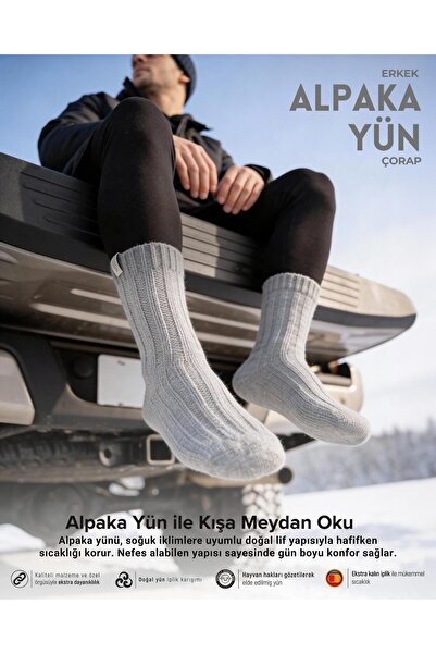 Bolero Men's Alpaca Wool Winter Socks Gray