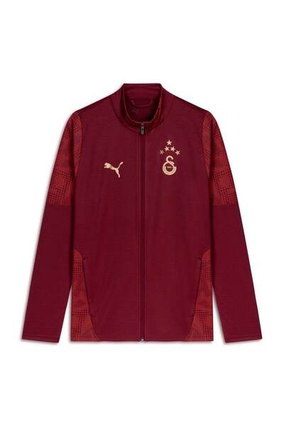Puma GALATASARAY Men's Training Jacket