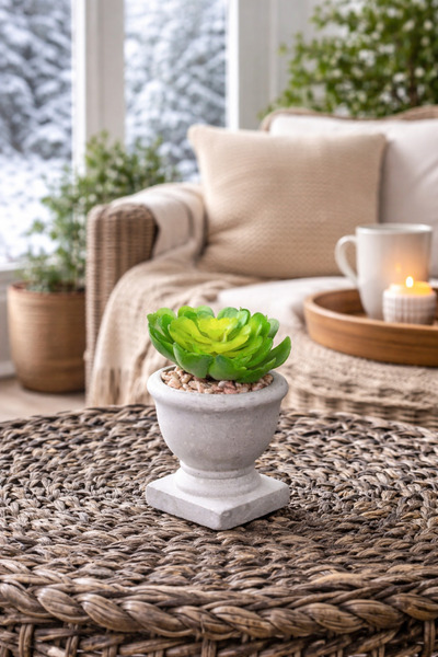 Arma House Cactus artificial în stil italian (2) (Floare artificială)