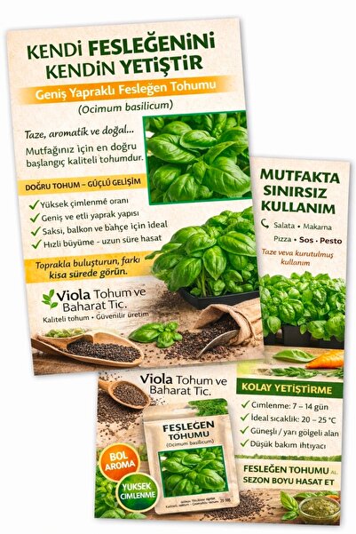Greenherb Fesleğen Tohumu