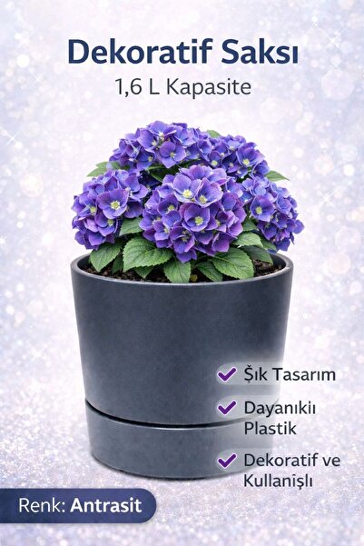 MF Botanik Begonya Pastel Saksı Dekoratif Tabaklı Çiçek Saksı 15 Cm 1.8 Litre...