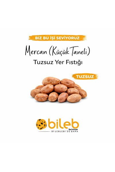 bileb serinhisar bi leblebi'de bana Tuzsuz Fıstık 1 Kg (MERCAN FISTIK)
