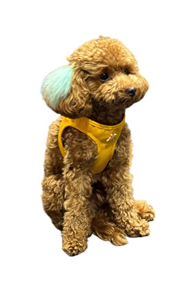 MrVet BREATHABLE LEATHER HARNESS - NEFES ALAN DERİ GÖĞÜS TASMASI